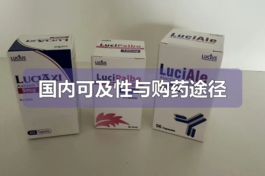 国内可及性与购药途径