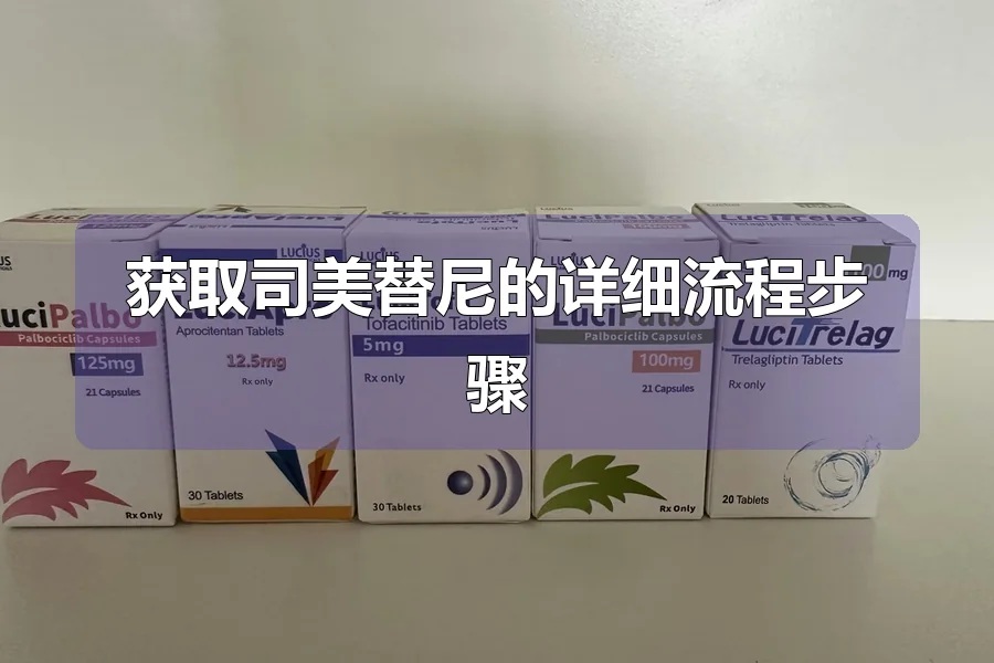 获取司美替尼的详细流程步骤